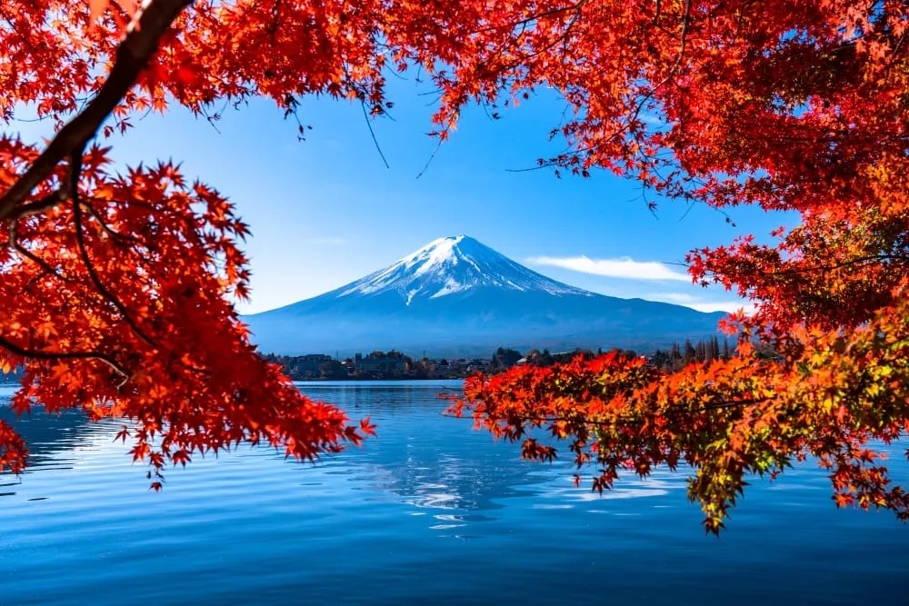 旅行企画業務